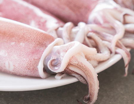 Ingrediente crostone con calamari Pandittaino