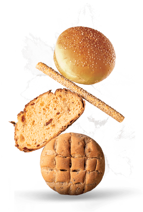 prodotti pandittaino pane grissini
