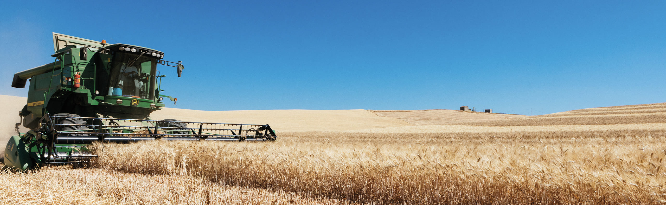 trebbiatura grano pandittaino sicilia