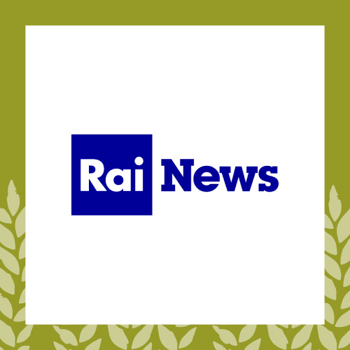 Rai news Logo della testata ufficiale