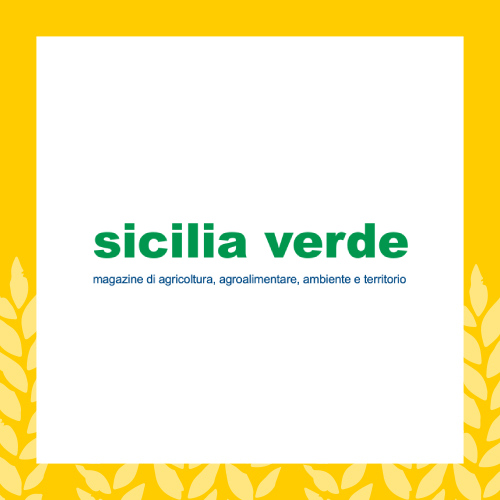 Testata giornalstica di Sicilia verde