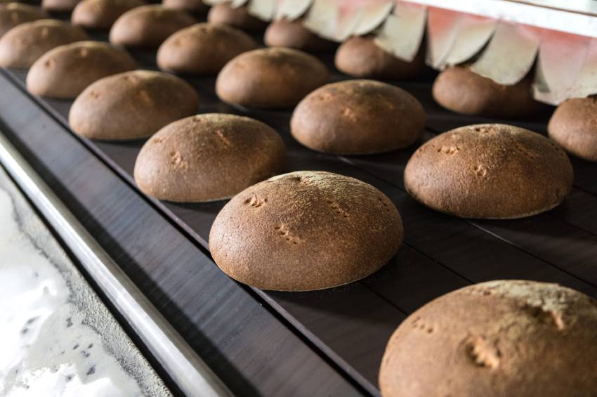 Pane del dittaino Pandittaino