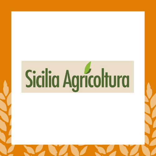 Sul podio del TuttoFood 2026 la Pagnotta del Dittaino DOP